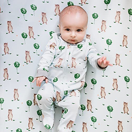 Burt's Bees Baby baby-boys Sleep and Play Pjs, 100% Organic Cotton One-piece Zip Front Romper Jumpsuit Pajamas