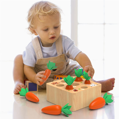 KMTJT Montessori Toys for 1 2 3 Year Old Toddlers, Macron Carrot Harvest Game Wooden Toys for Baby Boys and Girls, Educational Learning Shape Sorting Matching Gifts for Babies 1-3