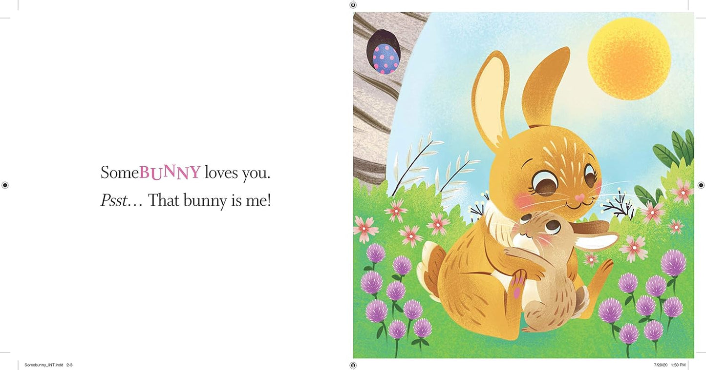 Somebunny Loves You: A Sweet and Silly Easter Board Book for Babies and Toddlers (Punderland)