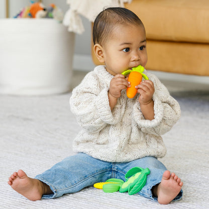 Infantino Lil' Nibbles Textured Silicone Baby Teether - Sensory Exploration and Teething Relief with Easy to Hold Handles, Orange Carrot, 0+ Months