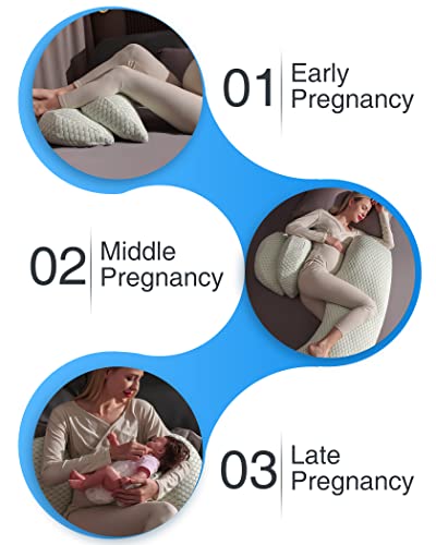 Busarilar Pregnancy Pillows for Sleeping, Maternity Pillow, Pregnancy Body Pillow Support for Back, Legs, Belly, Hips of Pregnant Women, Detachable and Adjustable with Pillow Cover (Pinky, Small)