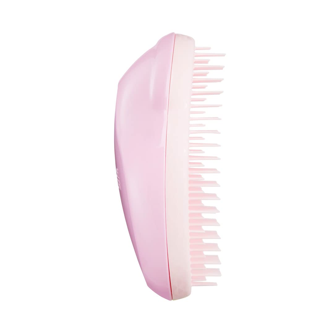 Tangle Teezer The Fine and Fragile Detangling Brush, Dry and Wet Hair Brush Detangler for Color-Treated, Fine and Fragile Hair, Mint Violet