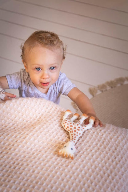 Sophie la girafe | Handcrafted for 60 Years in France | 100% Natural Rubber | Designed for Teething Babies | Awaken All 5 Senses | Easy to Clean | Pack of 1