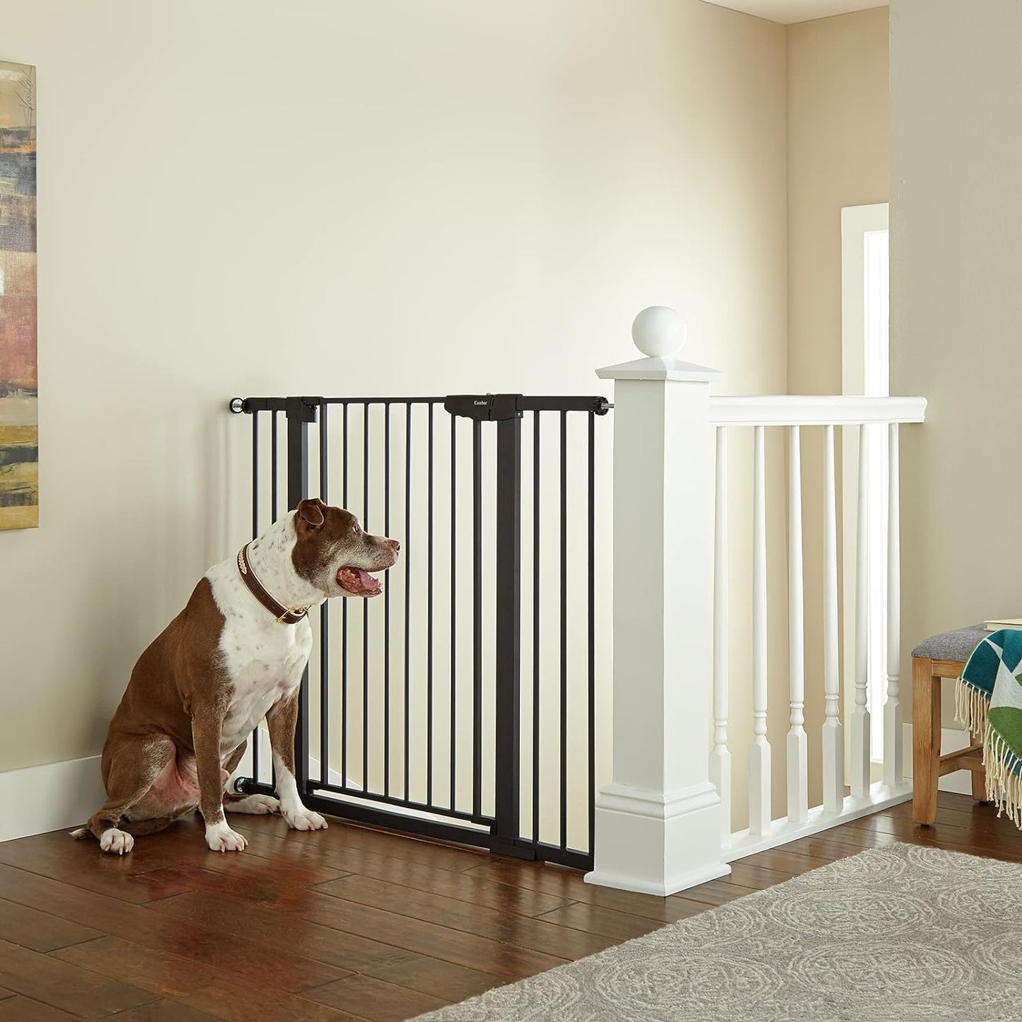 Cumbor 29.7-46" Baby Gate for Stairs, Mom's Choice Awards Winner-Auto Close Dog Gate for the House, Easy Install Pressure Mounted Pet Gates for Doorways, Easy Walk Thru Wide Safety Gate for Dog, Black