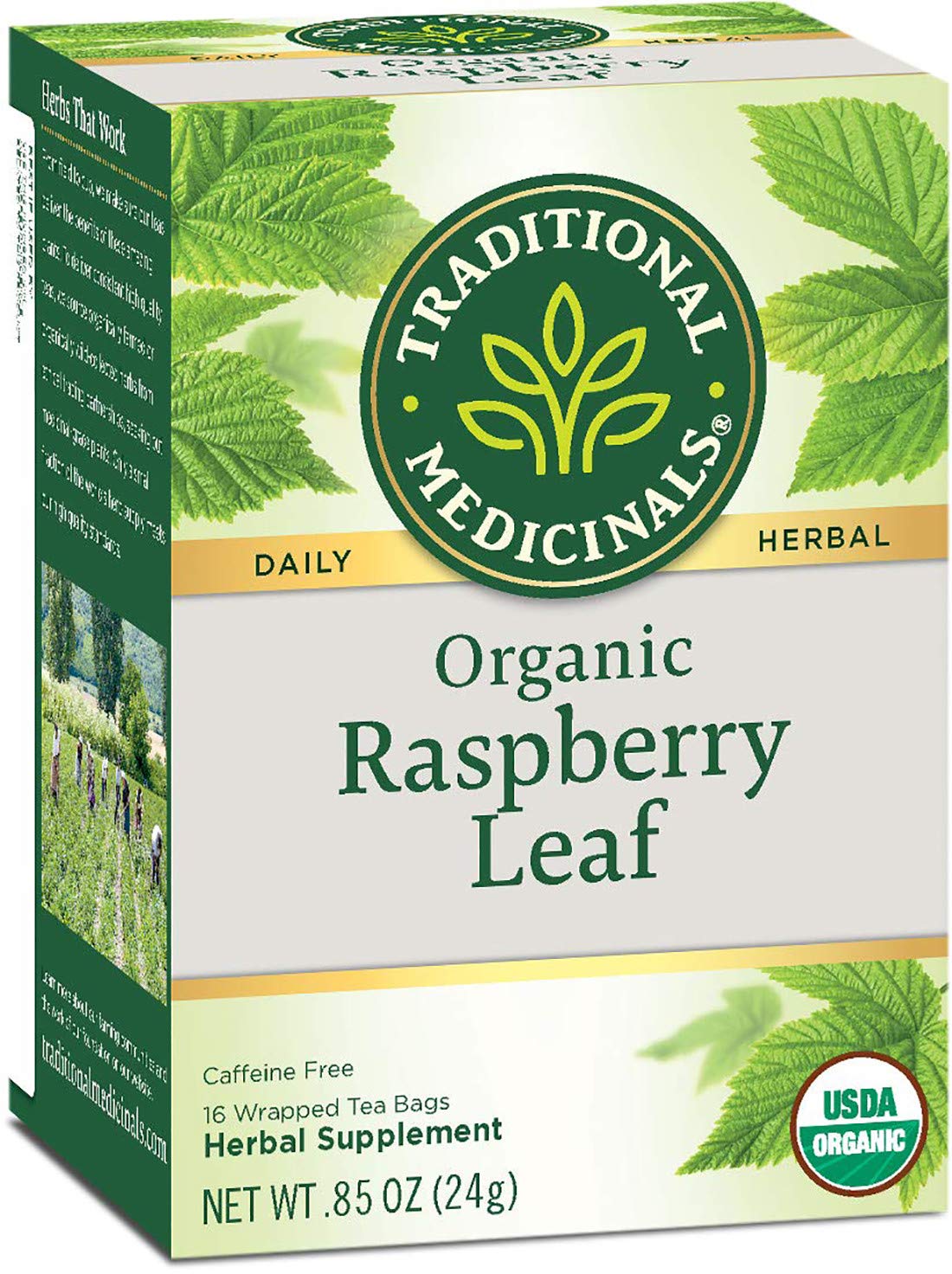 Traditional Medicinals Tea, Organic Raspberry Leaf, Eases Menstrual Cramps, Supports a Healthy Pregnancy, 96 Tea Bags (6 Pack)