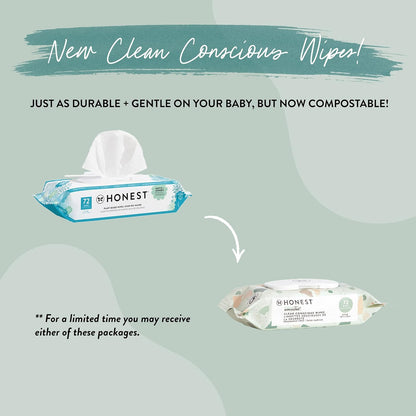 The Honest Company Clean Conscious Wipes | 99% Water, Compostable, Plant-Based, Baby Wipes | Hypoallergenic, EWG Verified | Pattern Play, 720 Count